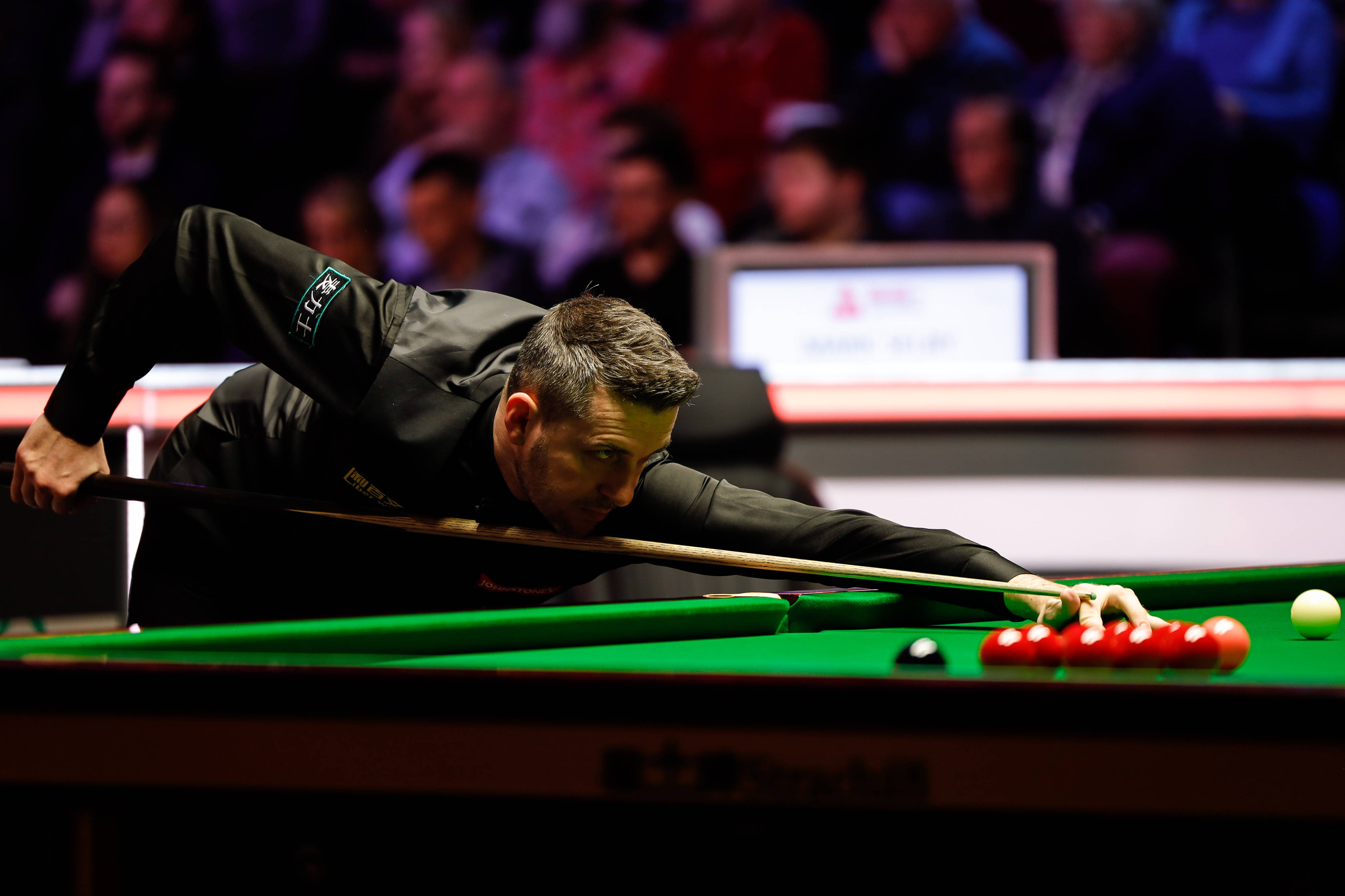 场上证明自 场上证明自