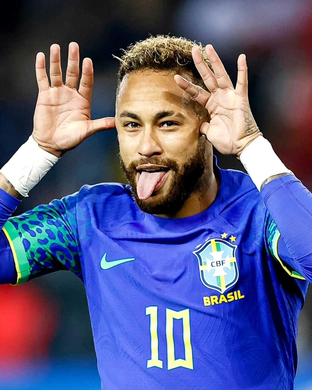 避免过高的 避免过高的