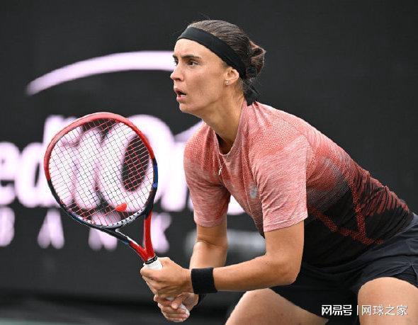 毛球明星 毛球明星