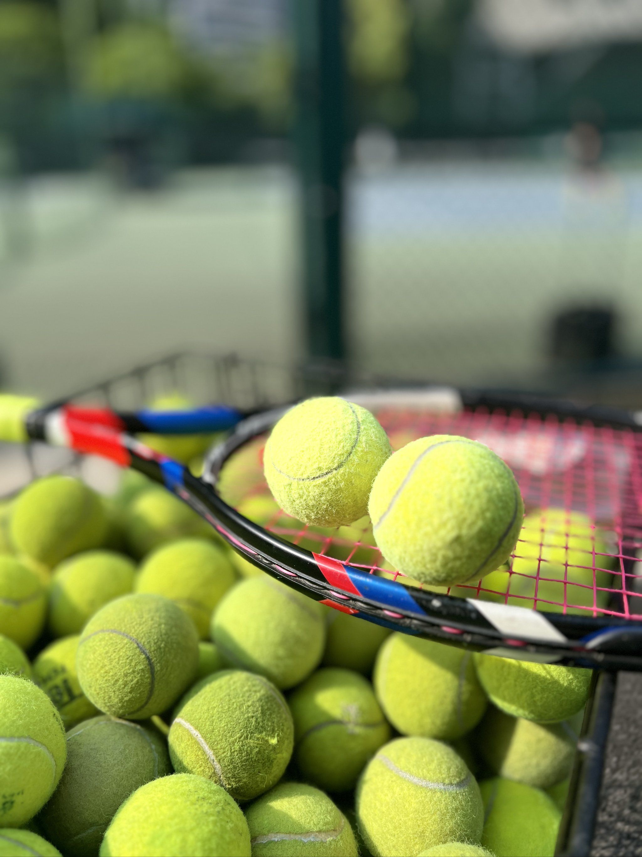 这一事件不 这一事件不