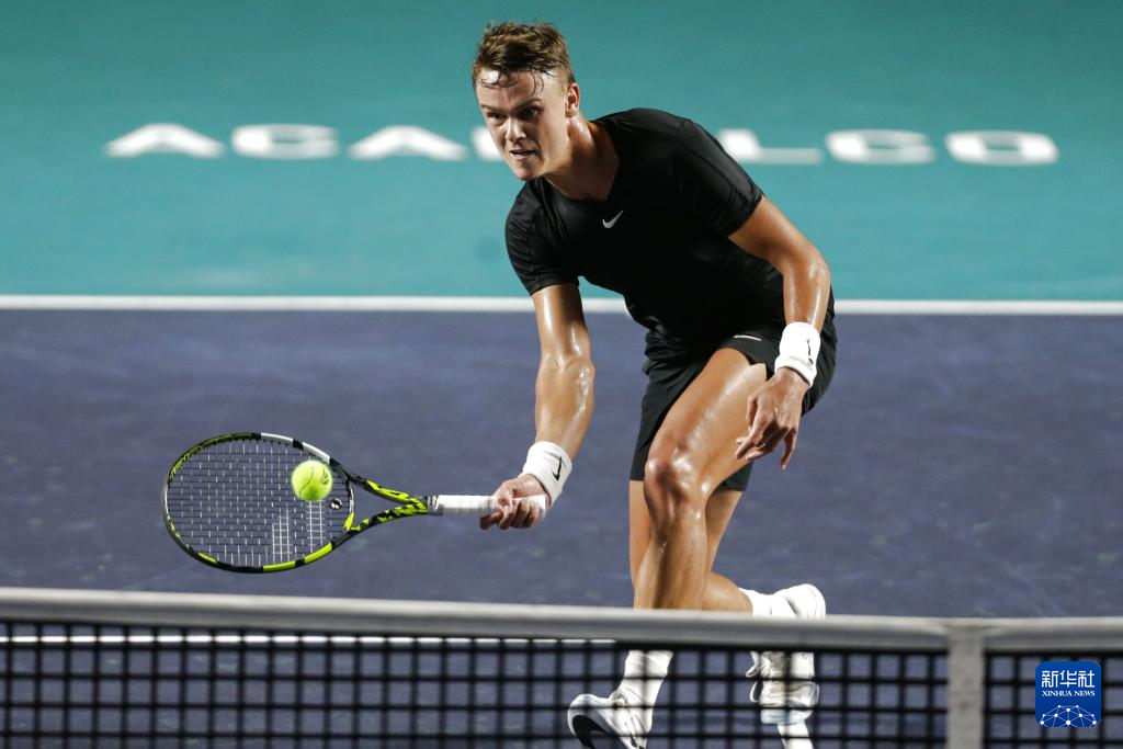 引进国际化 引进国际化