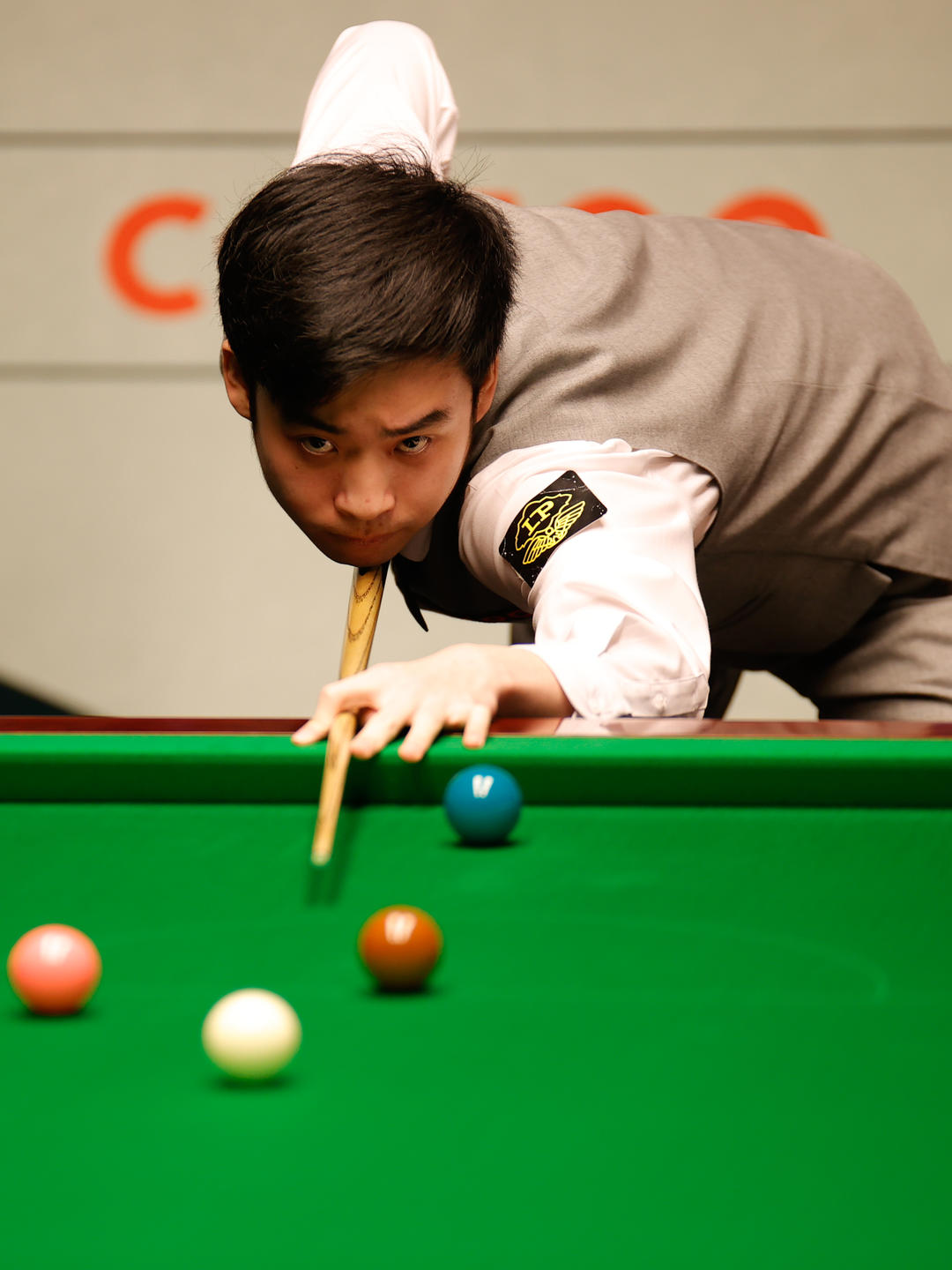 切尔西不仅 切尔西不仅